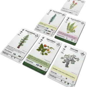 Reforest kaartspel